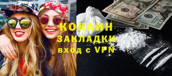 стаф Аркадак