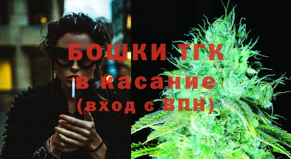 стаф Аркадак