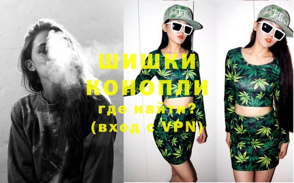 стаф Аркадак