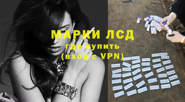стаф Аркадак