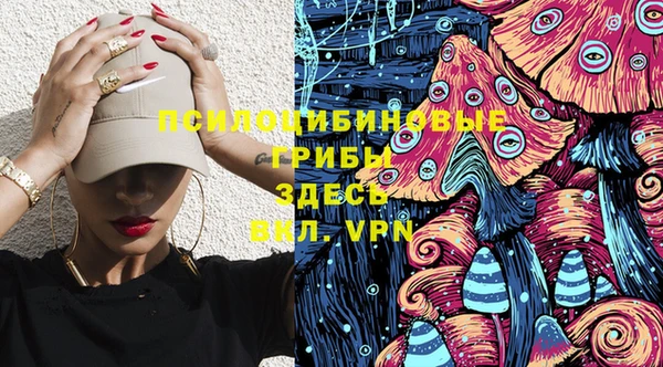 стаф Аркадак
